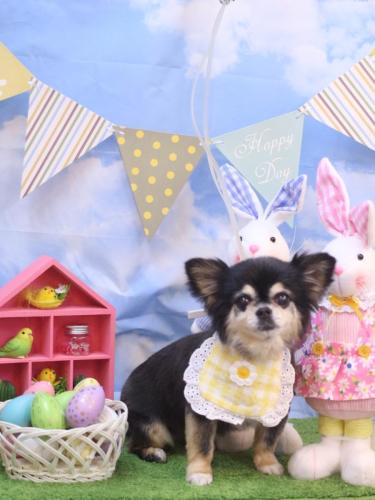 20240301モカちゃん